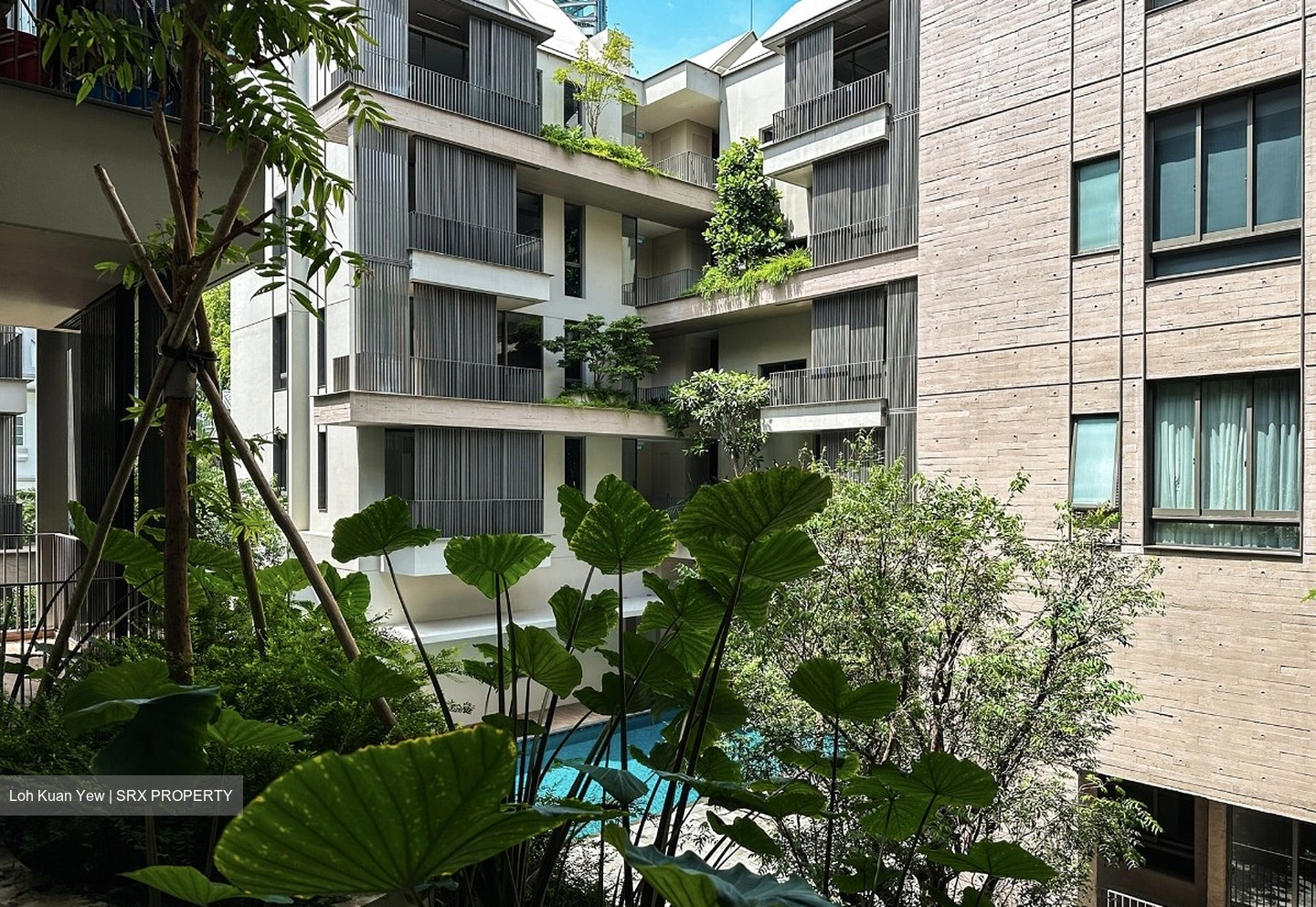 10 Evelyn (D11), Apartment #537473361